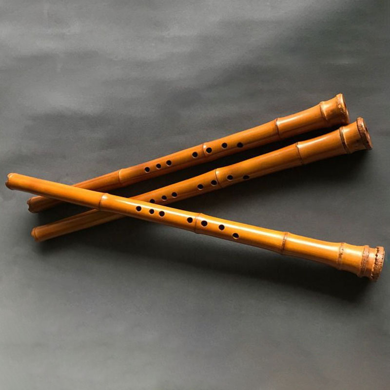 Flauta de bambú Vertical china - Musical Instrument I Play reseña y precio