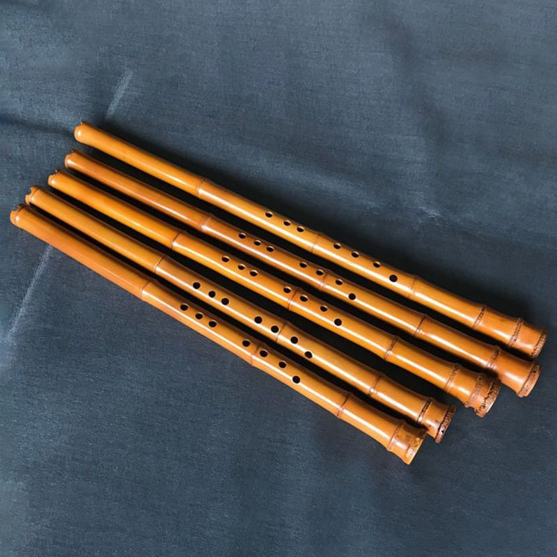 Flauta de bambú Vertical china - Musical Instrument I Play reseña y precio