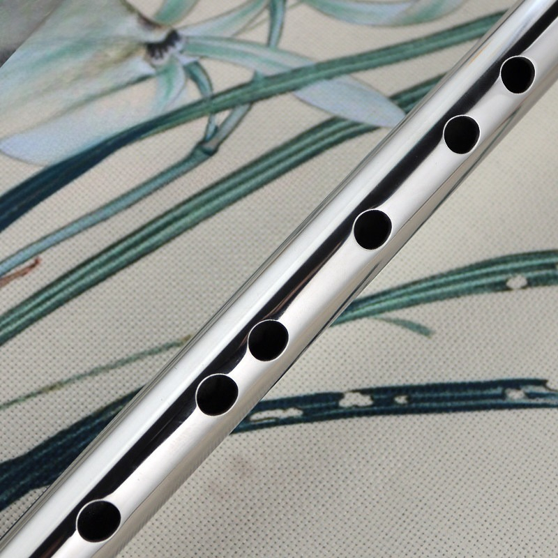 Flauta transversal profesional - Musical Instrument Fife reseña y precio